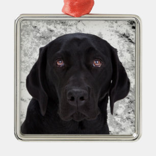 Black Labrador Retriever Metal Ornament