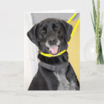 Black Labrador Retriever Mix Greeting/Note Cards
