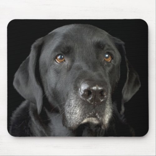 Black Labrador Retriever Mousepad