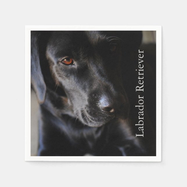 Black Labrador Retriever Napkins (Front)