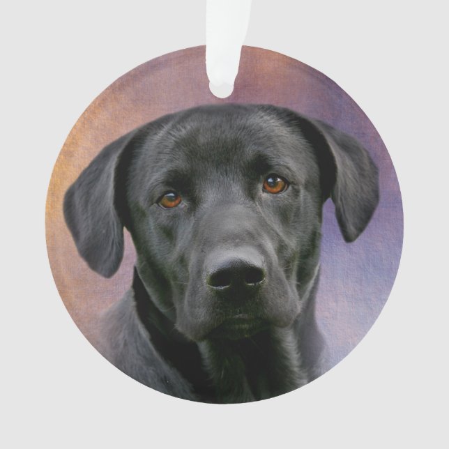 Black Labrador Retriever Ornament (Front)