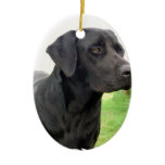 Black Labrador Retriever Ornament