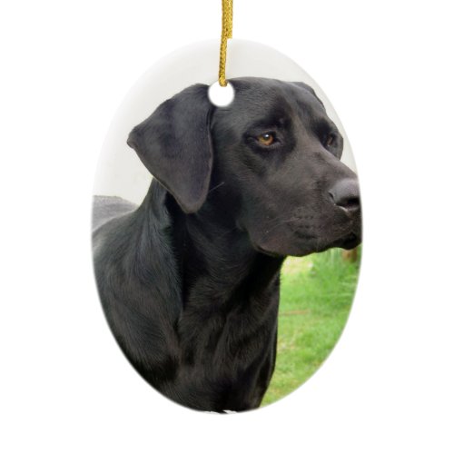 Black Labrador Retriever Ornament