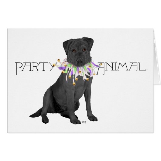 Black Labrador Retriever Party Cards (Front Horizontal)