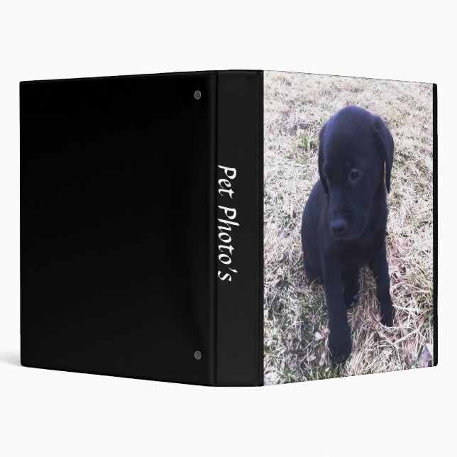 Black Labrador Retriever Pet Photo Album 3 Ring Binder (Background)
