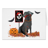 Black Labrador Retriever Pirate (Front Horizontal)