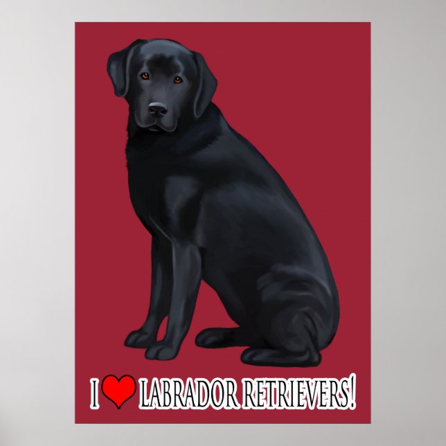 Black Labrador Retriever Portrait Poster (Front)