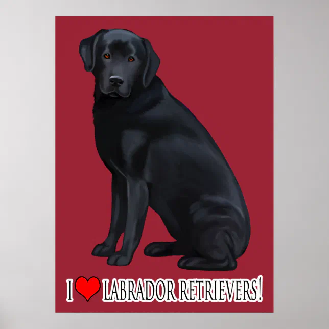 Black Labrador Retriever Portrait Poster | Zazzle