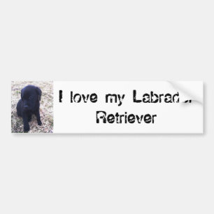 Black Labrador Retriever Puppy Bumper Sticker