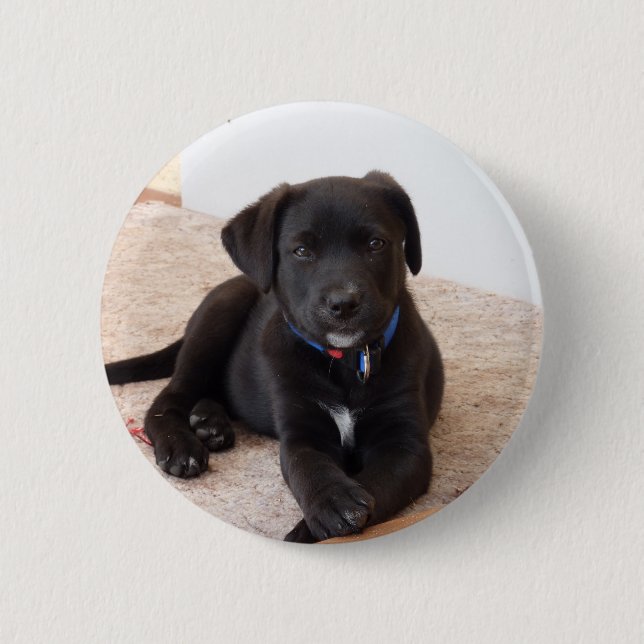 Black Labrador Retriever Puppy Button (Front)