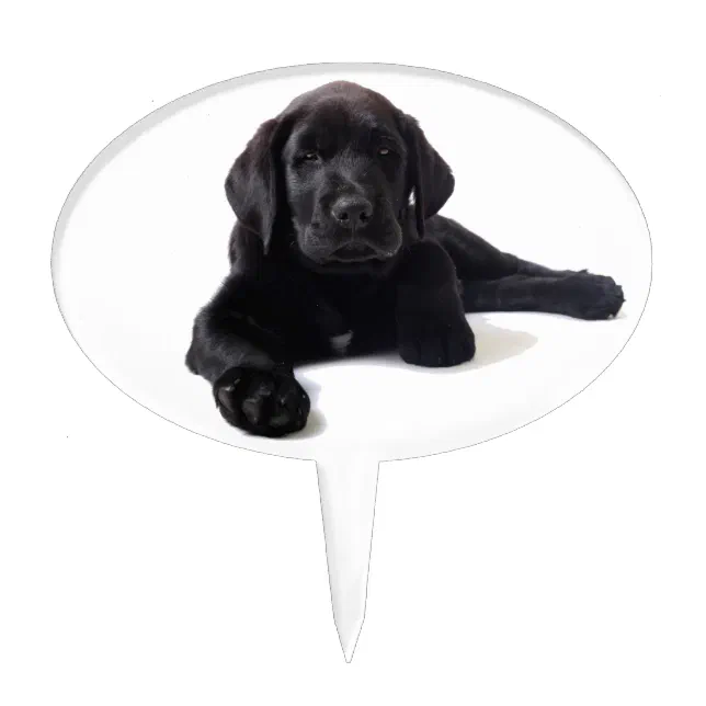 Black labrador 2024 cake topper