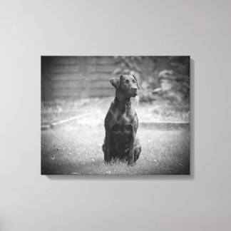 Black Labrador Retriever Puppy Canvas Print