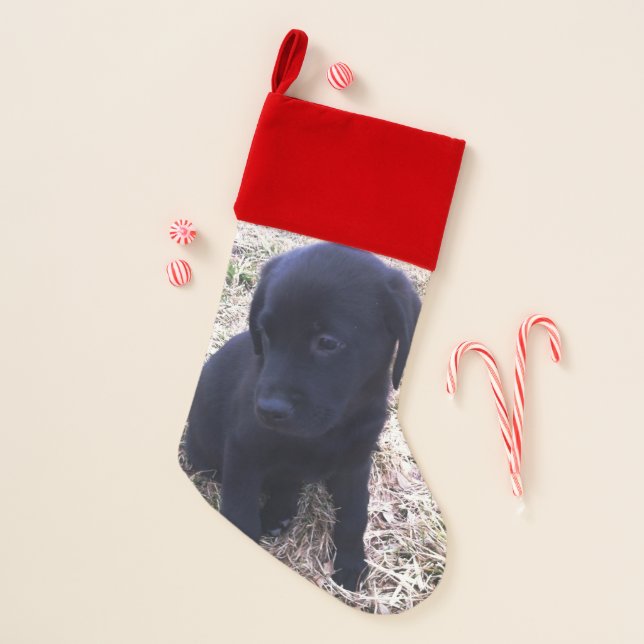 Black Labrador Retriever Puppy Christmas Stocking (Front)