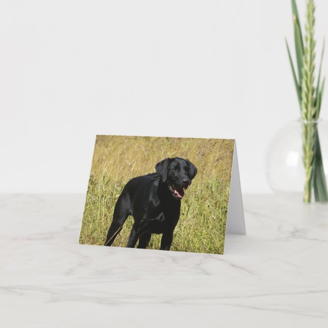 Black Labrador Retriever Puppy Dog Blank Note Card (Front)