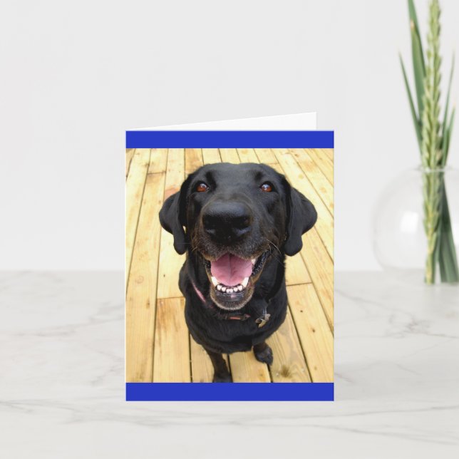 Black Labrador Retriever Puppy  Dog Blank Notecard (Front)