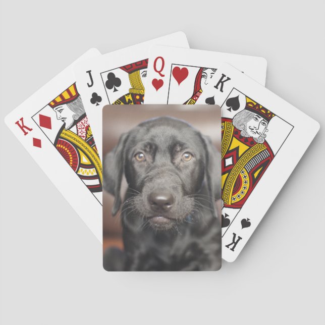 Black Labrador Retriever Puppy Dog Photo Poker Cards (Back)