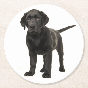 Black Labrador Retriever Puppy Dog Red Love Round Paper Coaster