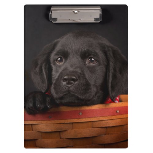 Black labrador retriever puppy in a basket clipboard