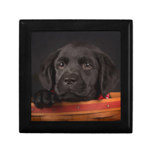 Black labrador retriever puppy in a basket gift box