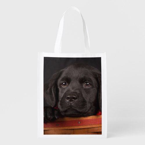 Black labrador retriever puppy in a basket grocery bag