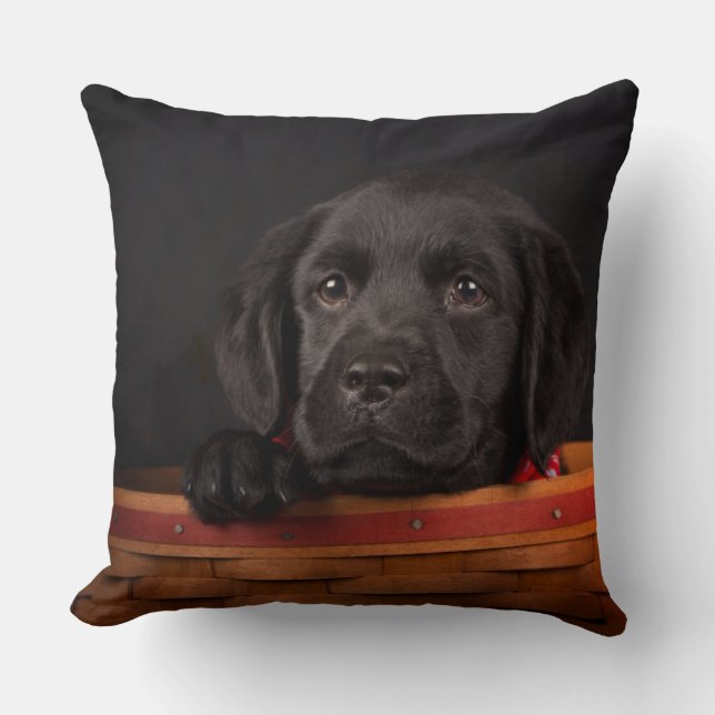 Black labrador retriever puppy in a basket throw pillow (Front)