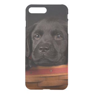 Black labrador retriever puppy in a basket iPhone 8 plus/7 plus case