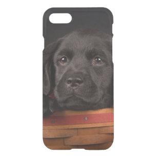 Black labrador retriever puppy in a basket iPhone SE/8/7 case