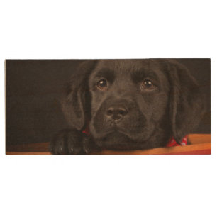 Black labrador retriever puppy in a basket wood USB flash drive