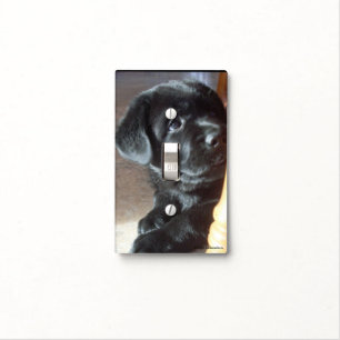 Black Labrador Retriever Puppy Light Switch Plate