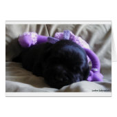 Black Labrador Retriever Puppy on a Blank Card (Front Horizontal)