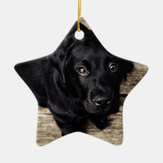 Black Labrador Retriever Puppy on Wood Ceramic Ornament