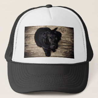 Black Labrador Retriever Puppy on Wood Trucker Hat