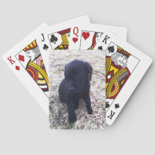 Black Labrador Retriever Puppy Poker Cards