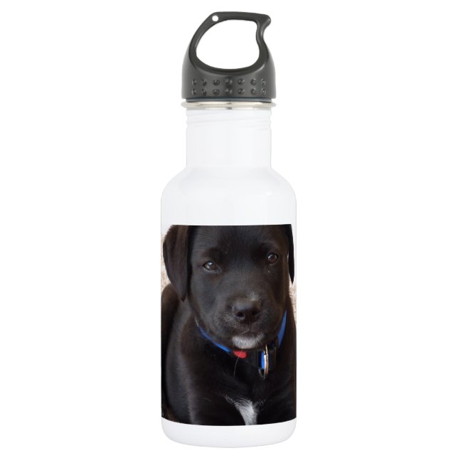 Black Labrador Retriever Puppy Water Bottle (Front)