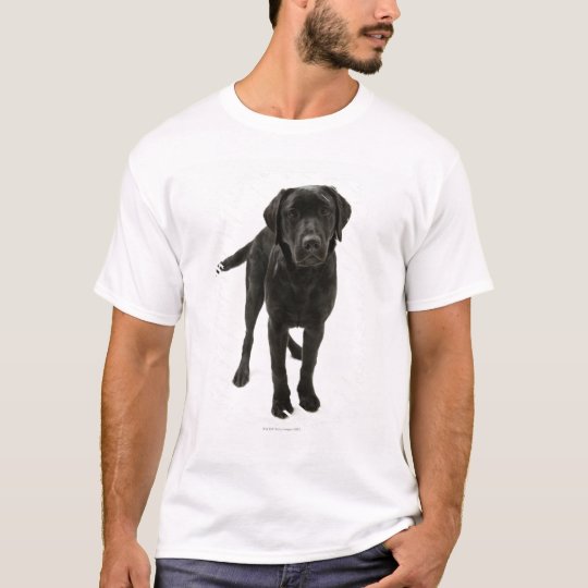 Black labrador retriever T-Shirt | Zazzle.com