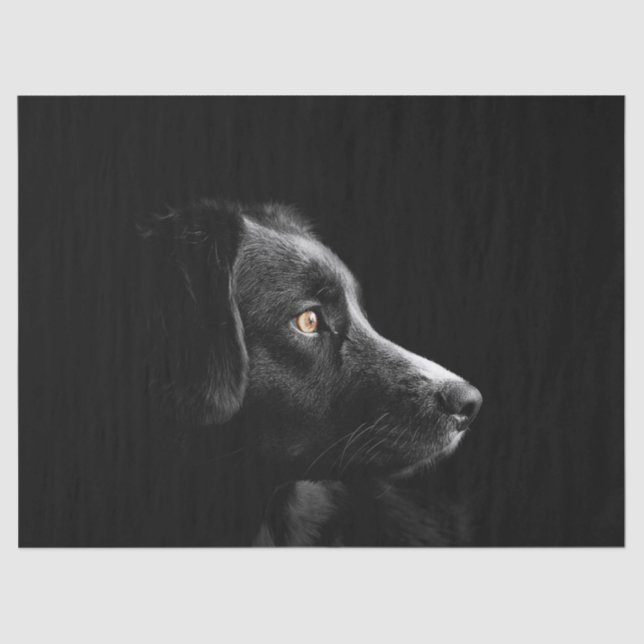black labrador retriever tissue paper (Front)