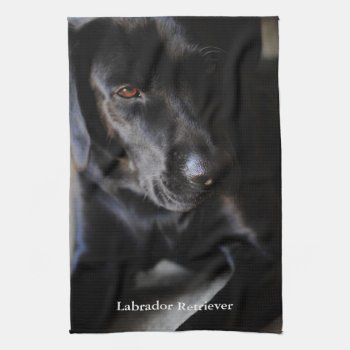 Black Labrador Retriever Towel by artinphotography at Zazzle