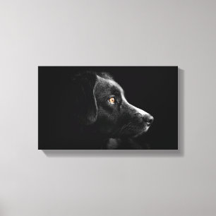 black labrador retriever wrapped canvas