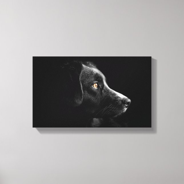 black labrador retriever wrapped canvas print (Front)