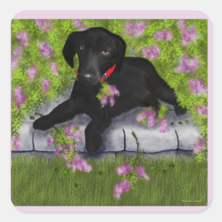 Black Labrador, Square Sticker