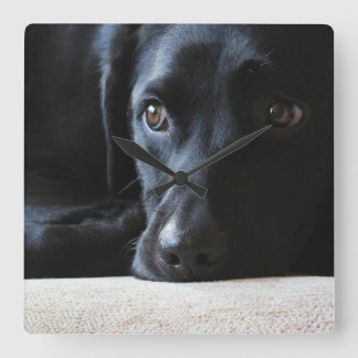 Black Labrador Square Wall Clock