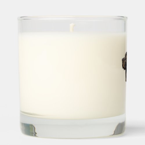 Black Labrador stickers Scented Candle