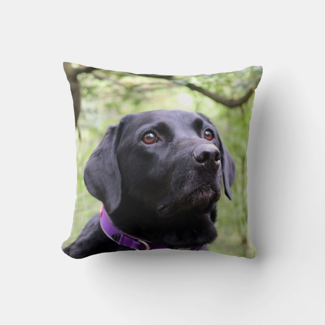 Black Labrador Throw Pillow (Front)