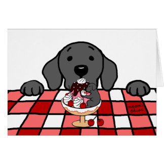 Black Labrador watching you Kitchen