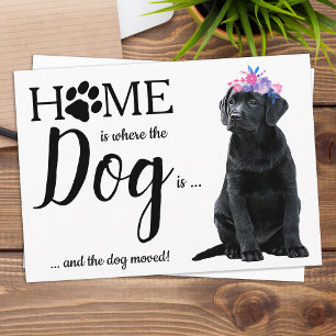 Black Labrador We've Moved Dog Moving Announcement Postcard