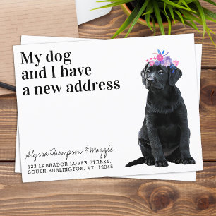 Black Labrador We've Moved New Address Dog Moving Announcement Postcard
