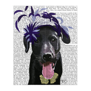 Black Labrador With Blue Fascinator Acrylic Print