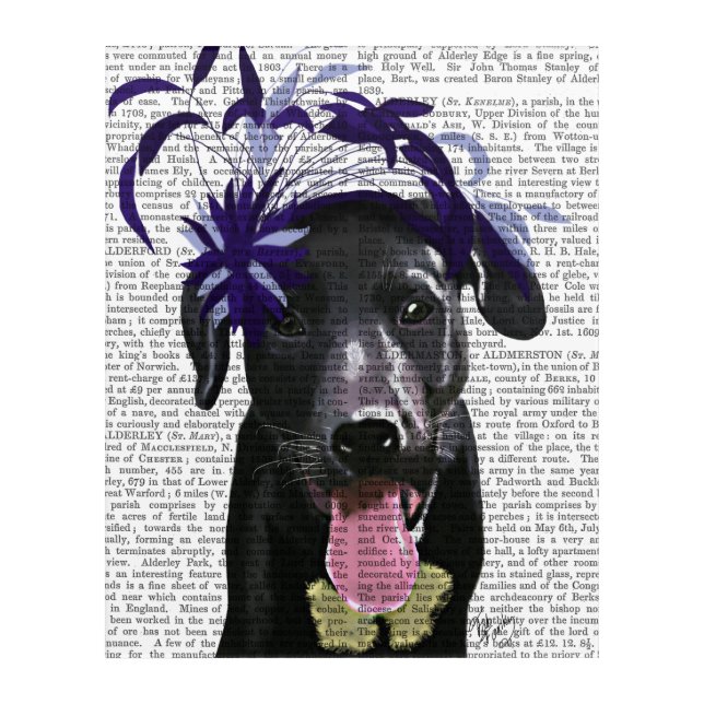 Black Labrador With Blue Fascinator Acrylic Print (Front)