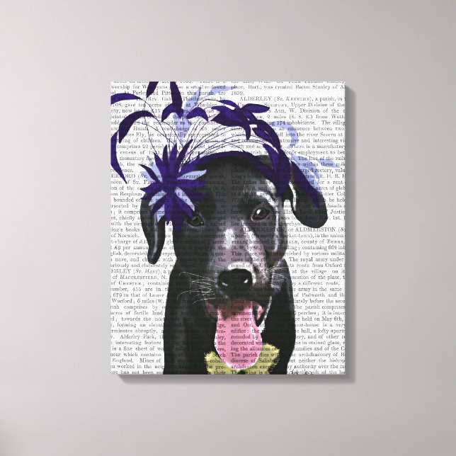 Black Labrador With Blue Fascinator Canvas Print (Front)