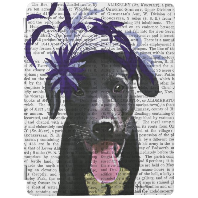 Black Labrador With Blue Fascinator iPad Air Cover (Front)